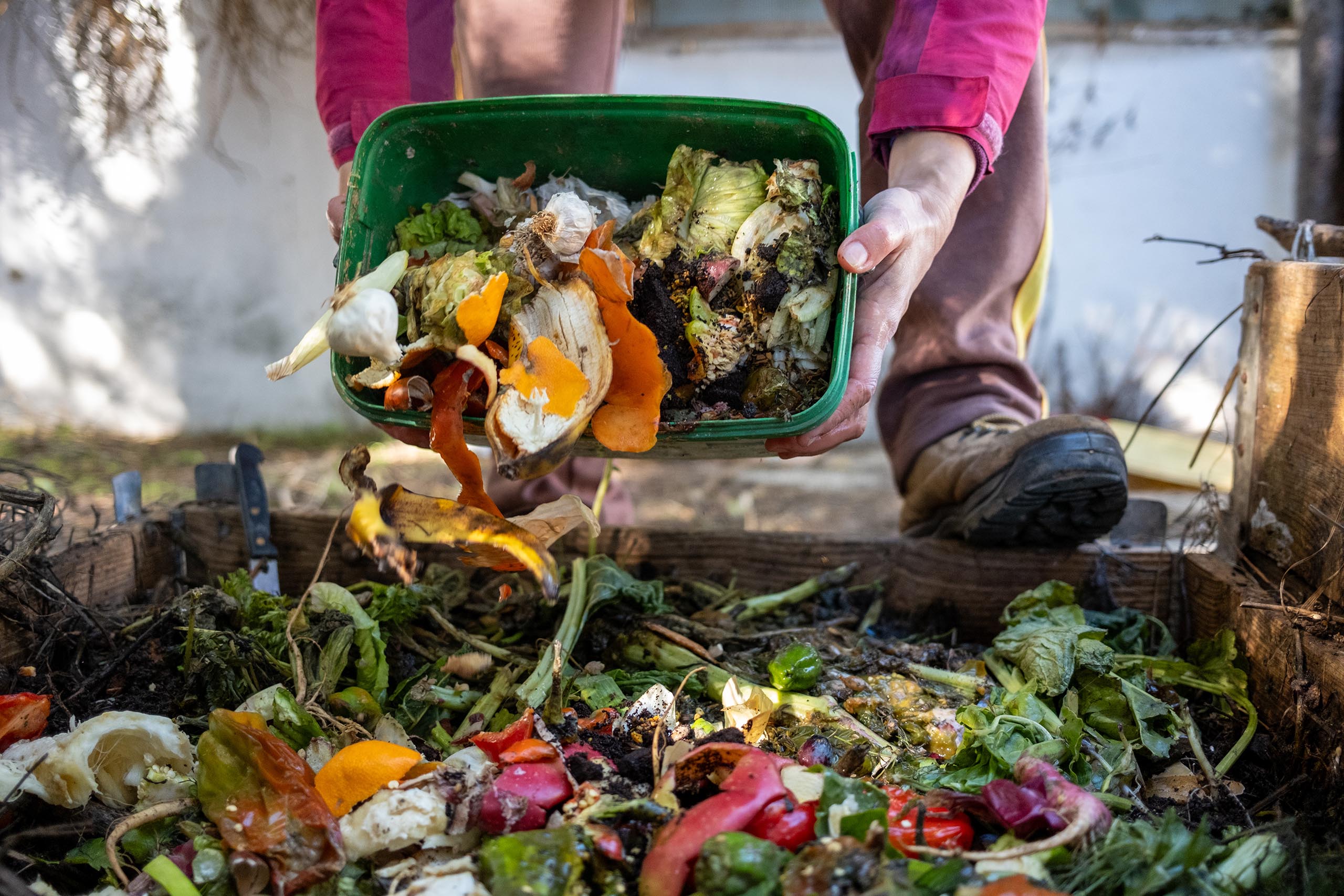 Person adding organic food scraps to compost bin